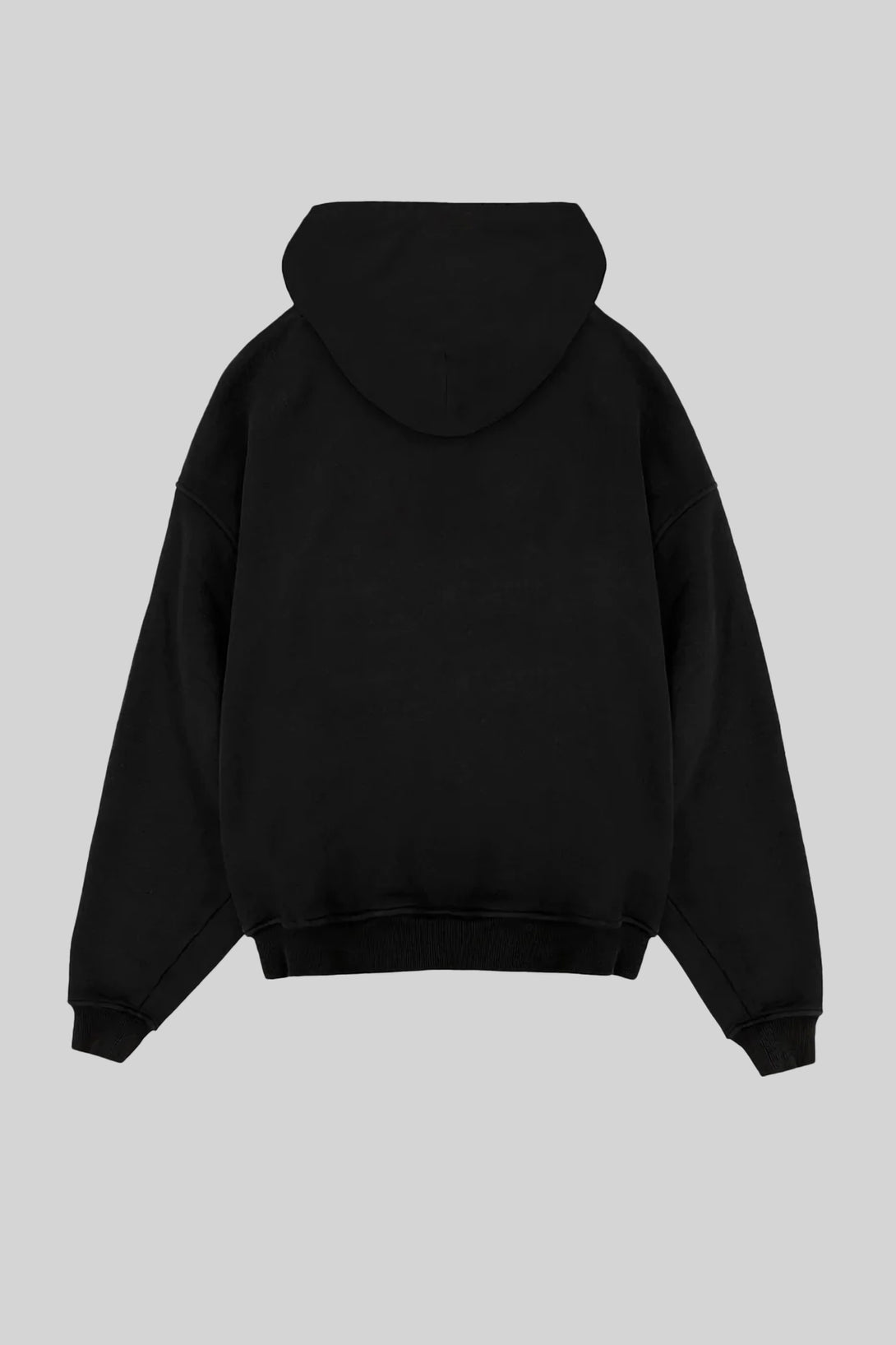 Back view of black color premium hoodie.